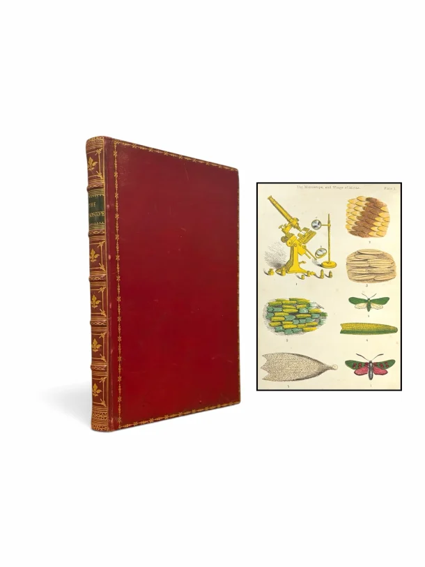 Mary Ward, The Microscope, or Descriptions of Various Objects of Especial Interest and Beauty, Adapted for Microscopic Observation